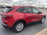 New 2025 Ford Escape Active w/ Cold Weather Package image 5