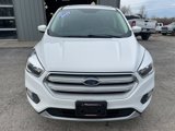 Used 2019 Ford Escape SE image 2