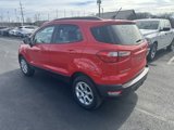 Used 2019 Ford EcoSport SE image 5