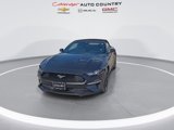 Used 2022 Ford Mustang Convertible w/ Equipment Group 101A image 3