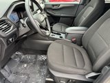 Certified 2024 Ford Escape Active w/ Tech Pack #1 image 6