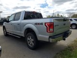 Used 2015 Ford F150 XLT w/ Equipment Group 302A Luxury image 4