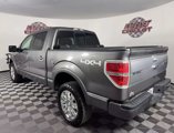 Used 2013 Ford F150 Platinum image 5