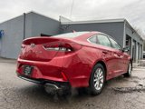 Used 2019 Hyundai Sonata SE image 3
