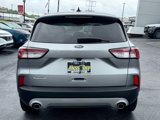 Used 2021 Ford Escape SE image 4