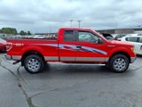 Used 2014 Ford F150 XLT w/ Equipment Group 302A Luxury image 2