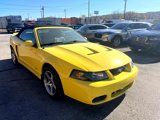 Used 2003 Ford Mustang Cobra image 4