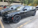 Used 2023 Dodge Charger SXT w/ Blacktop Package image 2