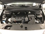 Used 2020 Hyundai Santa Fe SEL w/ Convenience + Premium Package image 5