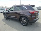 Certified 2023 Ford Escape SE image 4