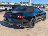 Used 2017 Ford Mustang GT Premium w/ Equipment Group 401A image 6