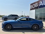 Used 2022 Ford Mustang Coupe w/ Equipment Group 101A image 2