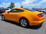 Used 2019 Ford Mustang Coupe image 4