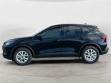 Used 2025 Ford Escape Active w/ Cold Weather Package image 2