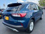 Used 2020 Ford Escape SE image 3