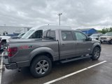 Used 2013 Ford F150 FX4 w/ Luxury Equipment Group image 3