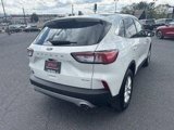 Used 2021 Ford Escape SE w/ Cold Weather Package image 5