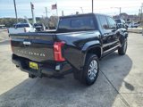 New 2024 Toyota Tacoma Limited image 6