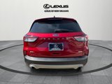Used 2020 Ford Escape SEL image 4