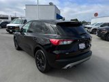 Certified 2020 Ford Escape SE Sport image 3