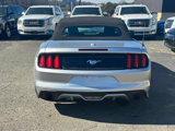 Used 2015 Ford Mustang Premium image 2