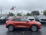 Used 2020 Ford Escape SEL image 4