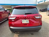 Used 2022 Ford Escape SE w/ SE Sport Appearance Package image 4