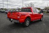 Used 2016 Ford F150 XLT w/ Equipment Group 302A Luxury image 3