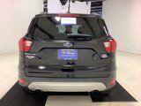 Certified 2019 Ford Escape SEL image 4