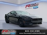 New 2025 Ford Mustang Coupe w/ Mustang Nite Pony Package image 6