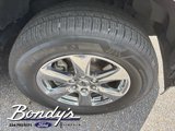 Used 2019 Ford F150 XLT w/ Equipment Group 302A Luxury image 4