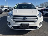 Used 2019 Ford Escape SEL image 2