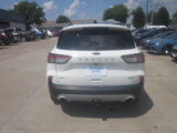 Used 2020 Ford Escape SEL image 5
