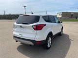 Used 2019 Ford Escape SE image 4