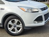 Used 2015 Ford Escape SE image 3