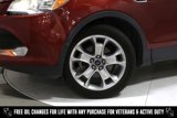 Used 2016 Ford Escape Titanium w/ Equipment Group 301A image 2