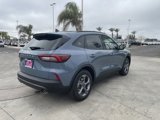 New 2025 Ford Escape ST-Line w/ Cold Weather Package image 5