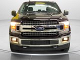 Used 2019 Ford F150 XLT w/ Equipment Group 302A Luxury image 5