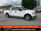 Used 2013 Ford F150 XLT w/ XLT Chrome Pkg image 3