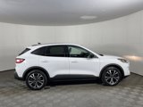 Used 2022 Ford Escape SE w/ SE Sport Appearance Package image 5