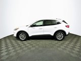 Used 2022 Ford Escape SE image 5