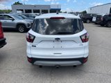Used 2018 Ford Escape SE image 6