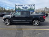 Used 2021 Ford F150 XLT w/ Equipment Group 302A High image 2