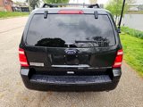 Used 2011 Ford Escape XLT w/ 203A Rapid Spec Order Code image 4