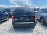 Used 2011 Ford Escape XLT w/ 202A Rapid Spec Order Code image 5