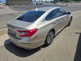 Used 2020 Honda Accord Hybrid image 4