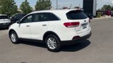 Used 2016 Kia Sorento LX image 5