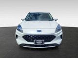 Used 2020 Ford Escape SE image 3