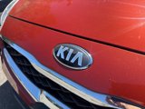 Used 2019 Kia Forte EX w/ EX Launch Edition image 5