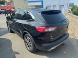 Used 2020 Ford Escape SEL image 3